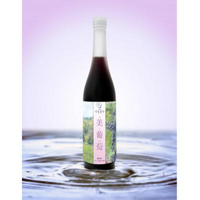 ふるさと納税 川俣町 美葡萄 山ぶどうジュース 500ml×2本