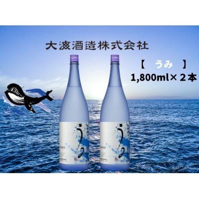 ふるさと納税 鹿屋市 「芋焼酎名産地」鹿児島のちょっとした贅沢焼酎「うみ」1,800ml×2本 お湯割りがおススメ!