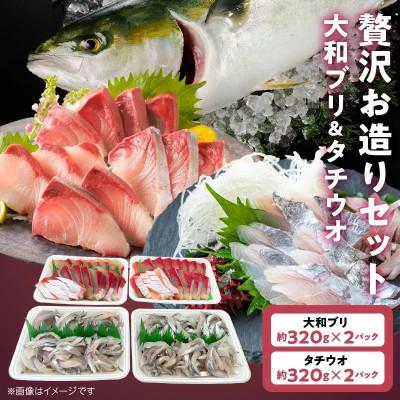 ふるさと納税 延岡市 贅沢お造りセット