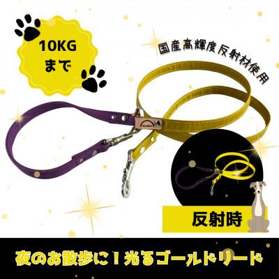 ふるさと納税 阿見町 [小型犬用10キロまで]光るリード ゴールド反射材(40-29)