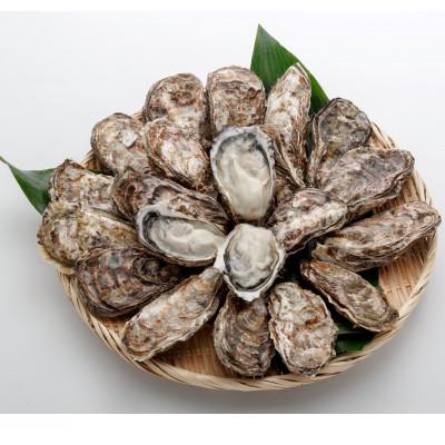 ふるさと納税 大竹市 オレの牡蠣 アミスイ 殻付牡蠣2kg