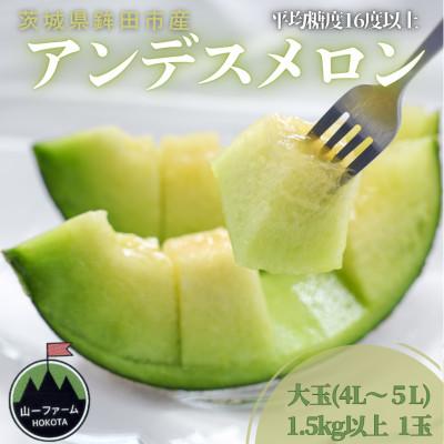 ふるさと納税 茨城県 [先行受付]令和8年4月順次発送 茨城県鉾田市 山一ファーム アンデスメロン 大玉 4L〜5L・1玉