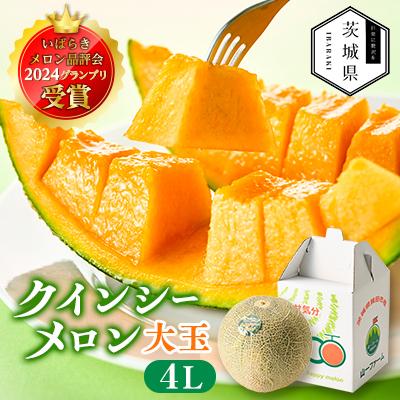 ふるさと納税 茨城県 [先行受付]令和8年4月順次発送 茨城県鉾田市 山一ファーム クインシーメロン 大玉4L〜5L・1玉