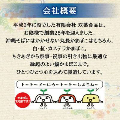 ふるさと納税 うるま市 沖縄お野菜カマボコセット_3