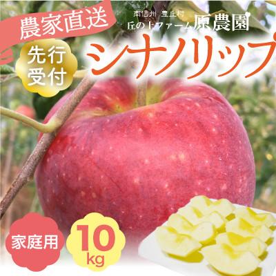 ふるさと納税 豊丘村 [丘の上ファーム]りんご『シナノリップ』家庭用10kg(22-36玉)2026年8月より発送