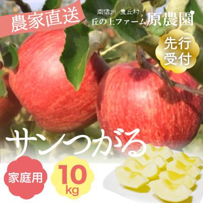 ふるさと納税 豊丘村 [丘の上ファーム]夏りんご「サンつがる」家庭用10kg(22〜40玉)2026年8月〜9月発送
