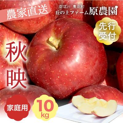 ふるさと納税 豊丘村 [丘の上ファーム]りんご「秋映」10kg(22〜36玉) 家庭用 2026年9〜10月発送