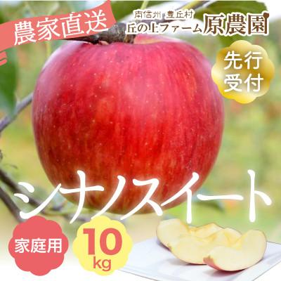 ふるさと納税 豊丘村 [丘の上ファーム]りんご「シナノスイート」家庭用10kg(22-36玉) 2026年10月発送