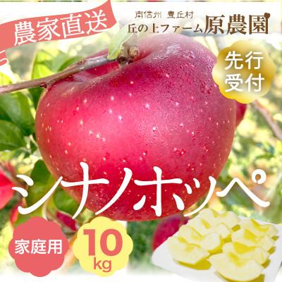 ふるさと納税 豊丘村 [丘の上ファーム]希少品種「シナノホッペ」家庭用10kg(22-36玉)2026年10月より発送