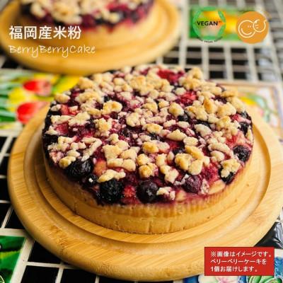 ふるさと納税 小城市 グルテンフリーヴィーガン米粉のベリーベリーケーキ18cmホール