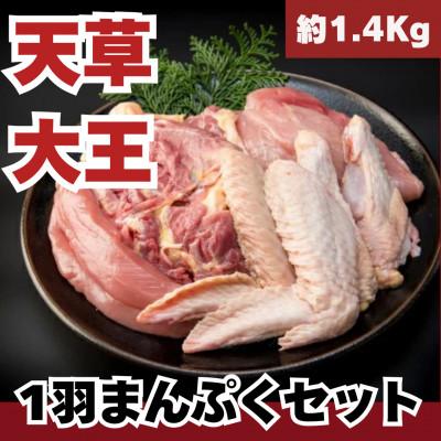 ふるさと納税 人吉市 天草大王1羽セット(冷凍・雌)