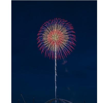 ふるさと納税 豊田市 とってもたくさん花火打ち揚げ(松) |  | 01