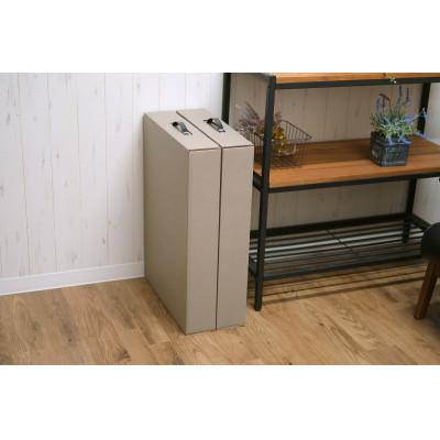 ふるさと納税 紀の川市 取っ手付きカラーメモリアルボックス2P キウイ