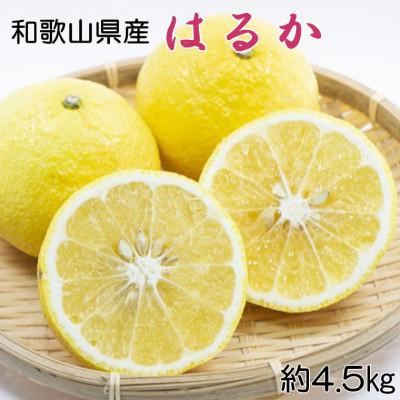 ふるさと納税 かつらぎ町 和歌山県産はるかみかん約4.5kg(サイズ混合 秀品)[かつらぎ町][2月下旬〜3月下旬順次発送]