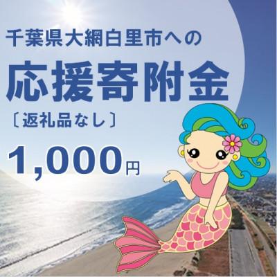 ふるさと納税 大網白里市 [返礼品なし]大網白里市への寄附 〔1,000円分〕