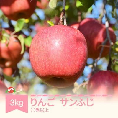 ふるさと納税 村山市 [先行予約]りんご「サンふじ」○秀以上 約3kg 2026年産 令和8年産 山形県産