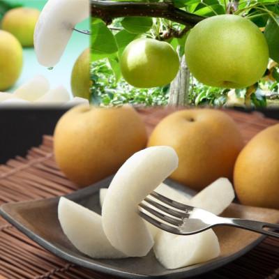 ふるさと納税 若桜町 二十世紀梨と旬の赤梨セット 4kg