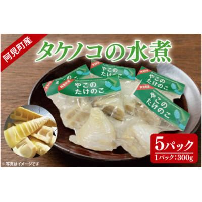 ふるさと納税 阿見町 阿見町産タケノコの水煮 300g×5パック (50-01)