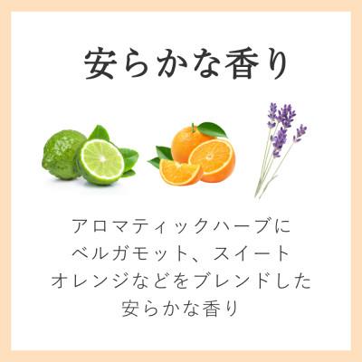 ふるさと納税 茨木市 AYURA(アユーラ) メディテーションバスt\u0026ナイトリートバス 各3本の画像