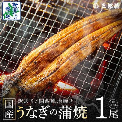 ふるさと納税 泉佐野市 [訳あり]老舗「五郎藤」関西風地焼き 国産有頭旨鰻 170g前後×1尾 099H3440