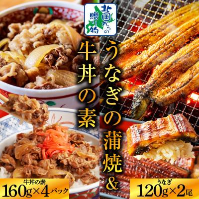 ふるさと納税 泉佐野市 [丼食べ比べ]五郎藤 国産 関西風 地焼き有頭旨鰻 &amp; 黒毛和牛で作った牛丼の素