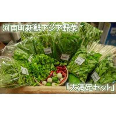 ふるさと納税 河南町 [12〜14種類]河南町新鮮アジア野菜「大満足セット」