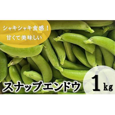 ふるさと納税 日向市 [期間限定発送] 野菜 スナップエンドウ 約1kg