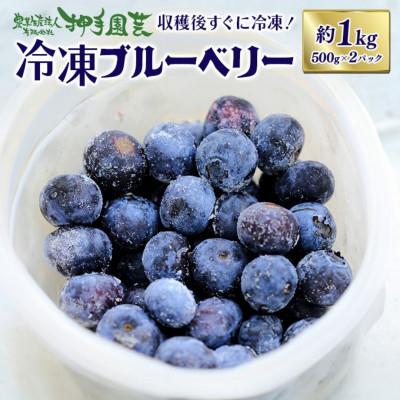 ふるさと納税 小美玉市 冷凍ブルーベリー 約1kg 55-C
