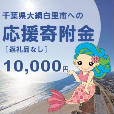 ふるさと納税 大網白里市 【返礼品なし】大網白里市への寄附 〔10,000円分〕 | 