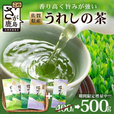ふるさと納税 鹿島市 佐賀県産 うれしの茶(やぶきた茶)100g×5本[合計500g]美味しいお茶をご家庭用に