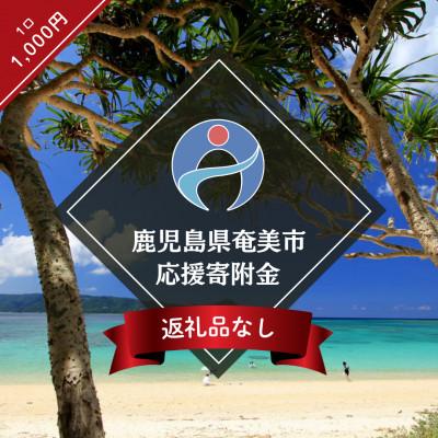 ふるさと納税 奄美市 [返礼品なし]鹿児島県奄美市応援寄附金(1口:1,000円)