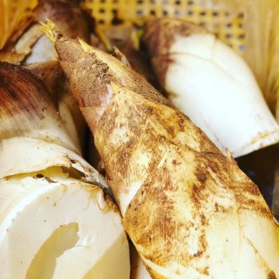 ふるさと納税 長岡京市 長岡京市産 京たけのこ 2kg