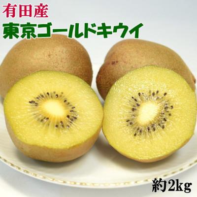 ふるさと納税 有田川町 [数量限定]キウイフルーツの新品種「東京ゴールド」約2kg(サイズ混合)
