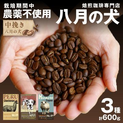 ふるさと納税 京丹後市 コーヒー豆 飲み比べお試しセット (200gx3種) 自家焙煎珈琲豆 [栽培期間中農薬不使用]中挽