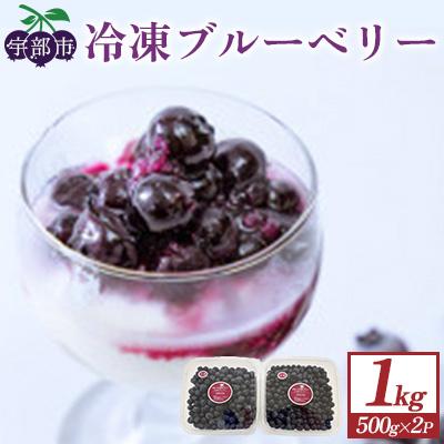 ふるさと納税 宇部市 山口県宇部市産 冷凍ブルーベリー 計1kg(500g×2パック)