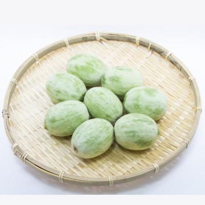 ふるさと納税 茨城県 [加工用]茨城県鉾田市産 摘果メロン(子メロン)約5kg