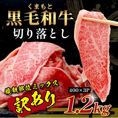 ふるさと納税 多良木町 【訳あり】くまもと黒毛和牛 切り落とし1.2kg(多良木町) |  | 01