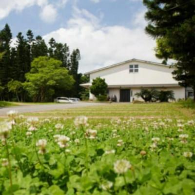 ふるさと納税 うるま市 【神村酒造】守禮44度シュロ巻壷(いちまん焼)5升壷9.0L_3