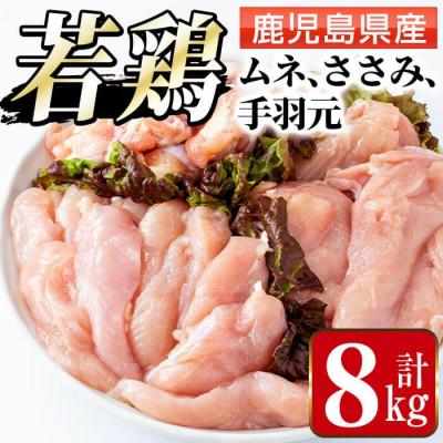 ふるさと納税 出水市 鹿児島県産 若鶏ムネ肉・手羽元・ささみ(計8kg)[まつぼっくり]i449(出水市)