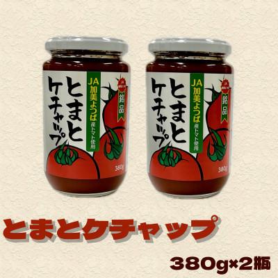 ふるさと納税 色麻町 とまとケチャップ 380g×2個 宮城県 色麻町