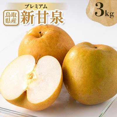 ふるさと納税 智頭町 プレミアム新甘泉 3kg | 