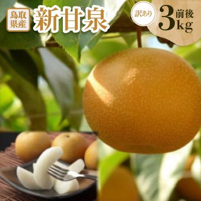 ふるさと納税 智頭町 訳あり　新甘泉(しんかんせん)　3kg前後 | 