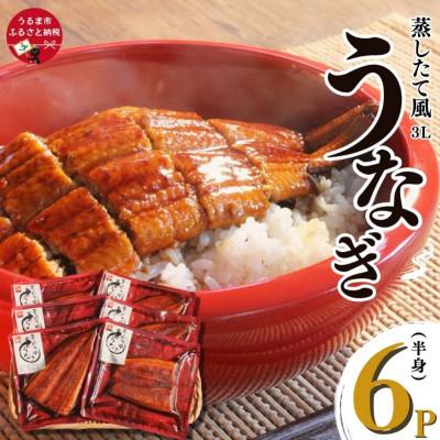ふるさと納税 うるま市 蒸したて風うなぎ3L(半身)×6P