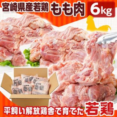 ふるさと納税 都城市 宮崎県産若鶏 もも肉(6kg) |  | 01
