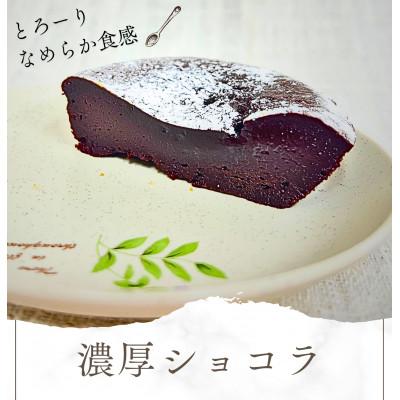 ふるさと納税 潟上市 濃厚ショコラ10個セット