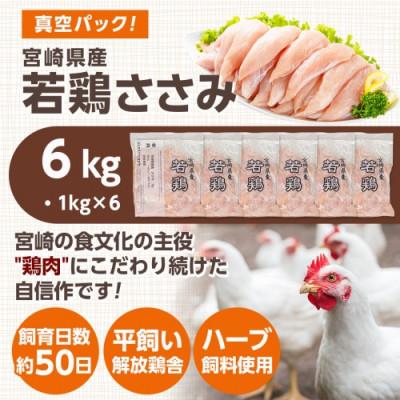ふるさと納税 都城市 宮崎県産若鶏 ささみ(6kg) : Yahoo!ふるさと納税