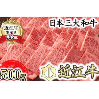 ふるさと納税 近江八幡市 [PRキャンペーン対象][カネ吉山本]近江牛[選] 焼肉用 リブロース[500g]