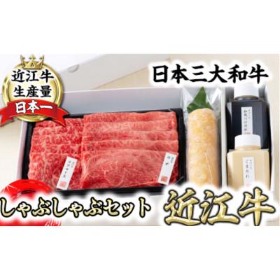 ふるさと納税 近江八幡市 [カネ吉山本]近江牛 定番・牛しゃぶしゃぶセット