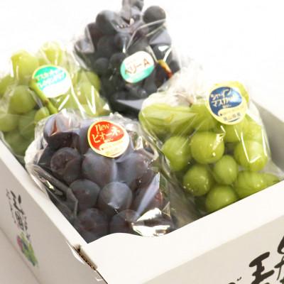 ふるさと納税 浅口市 くぼ農園ぶどうセレクション4房(合計約2.0kg)