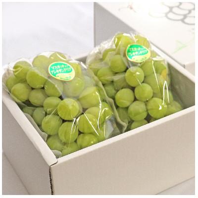 ふるさと納税 浅口市 岡山県産マスカット・オブ・アレキサンドリア1.2kg(2房)